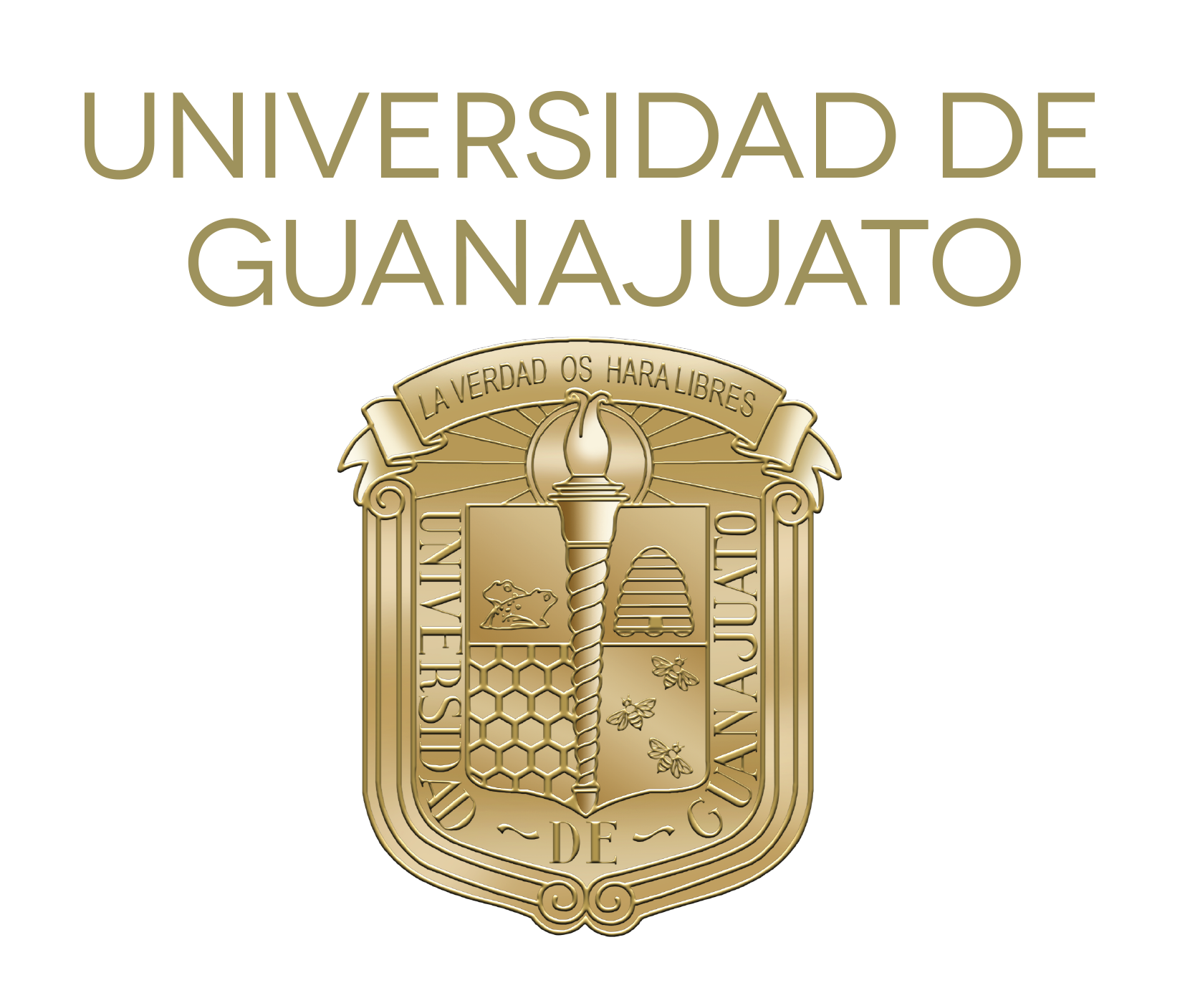 Universidad de Guanajuato